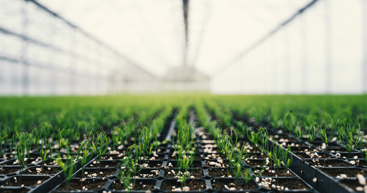 Fertilizer Industry